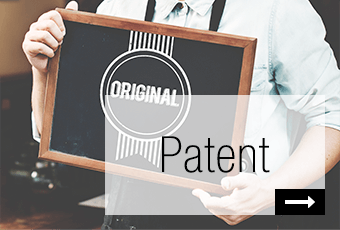 Patent 发明专利/实用新型专利
